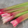 Rhubarb Photo Courtesy of Baker Creek Heirloom Seeds/RareSeeds.com